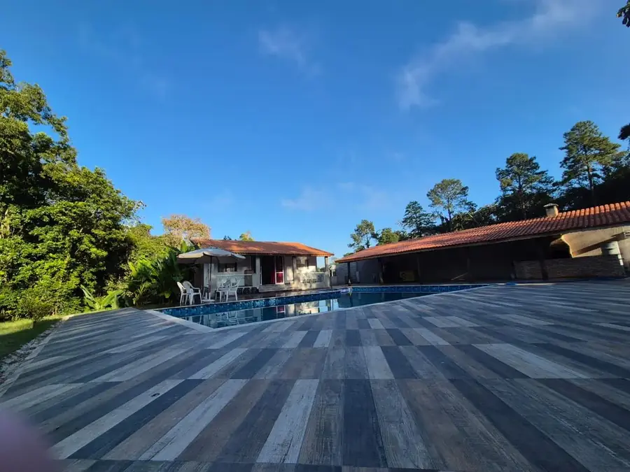 Vista panorâmica da piscina com a mata nativa ao redor